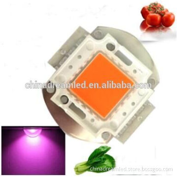 2017 Hot sale!Full spectrum led 10w integrated LED for plant grow